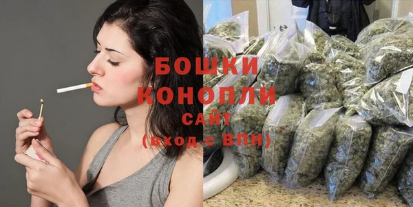 мдпв Касимов